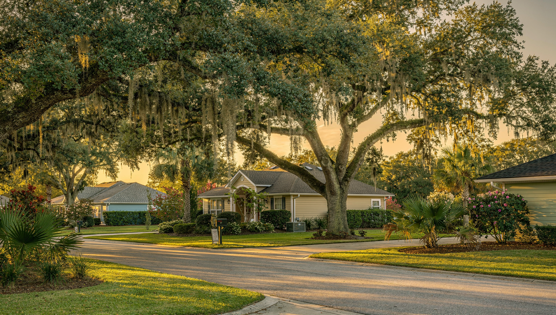 A quiet Northeast Florida neighborhood with live oaks in warm afternoon light